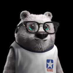 Crypto Bear #672