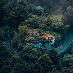Lost in the Hills