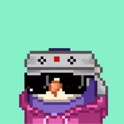 MemeBirds V2 #377