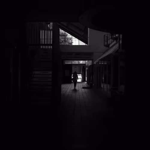 In Shadows 331780920