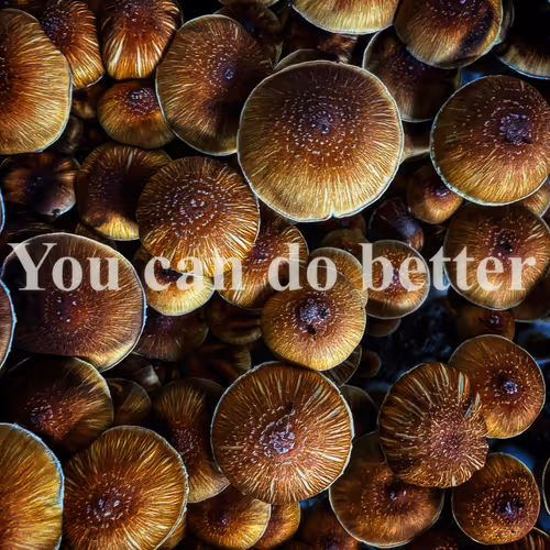 You get what you deserve