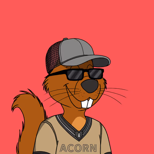 Acorns #85