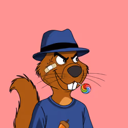 4848