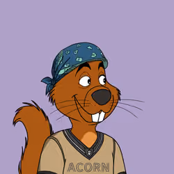 Acorns #6490