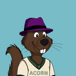 Acorns #3174