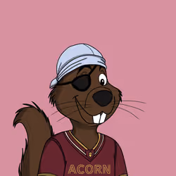 Acorns #5342
