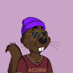 Acorns #3593
