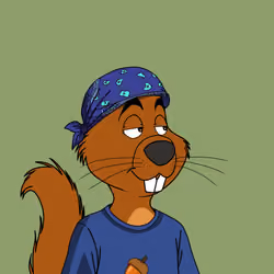255