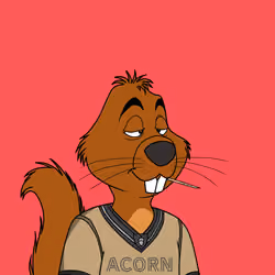 Acorns #5469