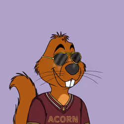 Acorns #5183