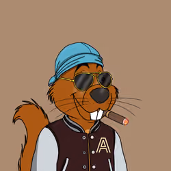 5044