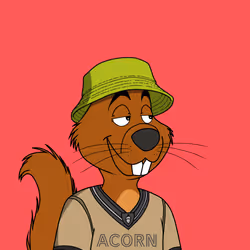 Acorns #5015
