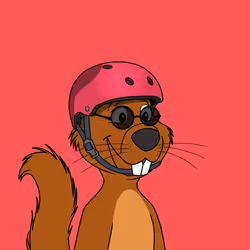 Acorns #1595