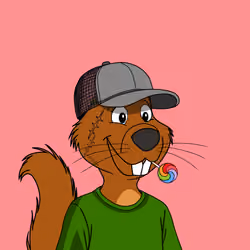 Acorns #4082