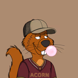 Acorns #5682