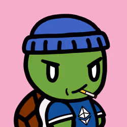 Lil Turtles #1984