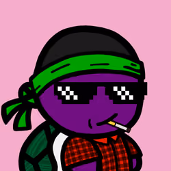 Lil Turtles #1380