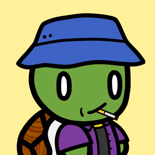 Lil Turtles