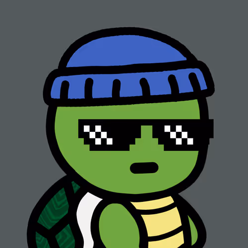 Lil Turtles