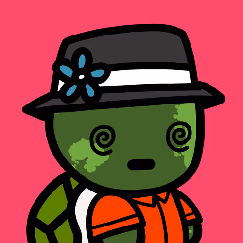Lil Turtles