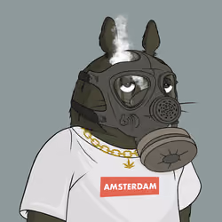 Neighbor #269