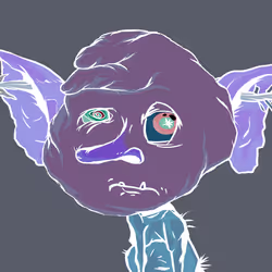 567
