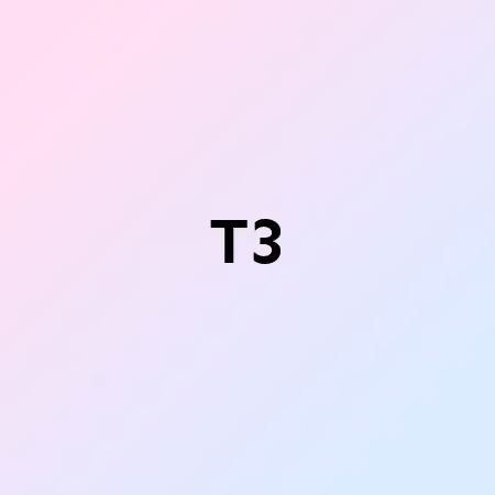 T3
