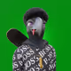 258
