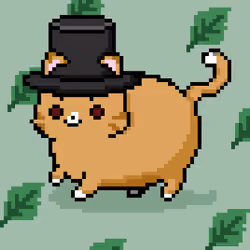 Chonky Cats #818