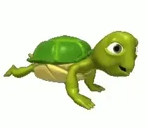 Turt Turt Splash 113