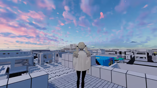 Item #1000000002 Media