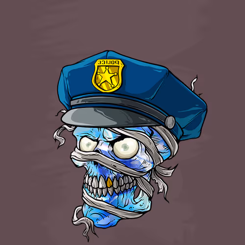 Crazymummiezproject