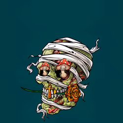 Crazy Mummy #2435