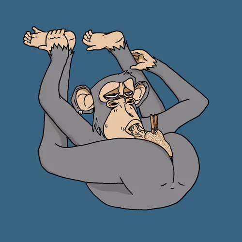 Boredapeyogaclub