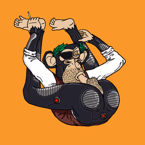 Boredapeyogaclub