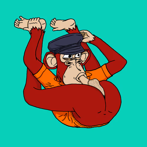 Boredapeyogaclub