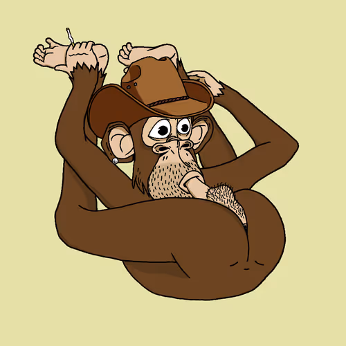 Boredapeyogaclub