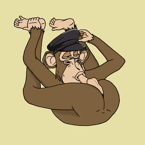 Boredapeyogaclub