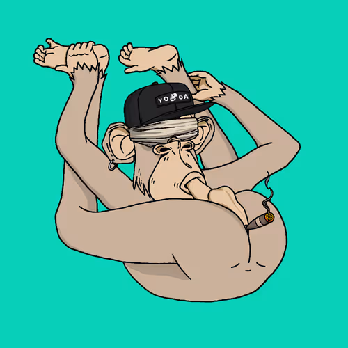 Boredapeyogaclub