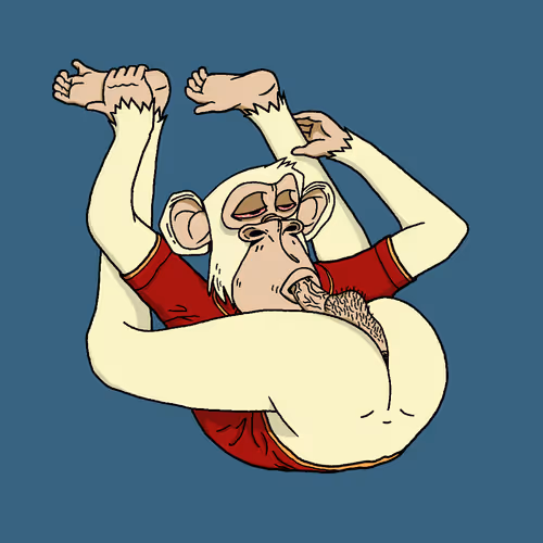 Boredapeyogaclub