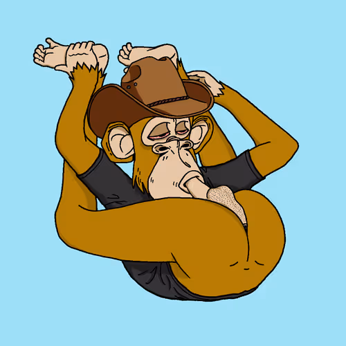 Boredapeyogaclub