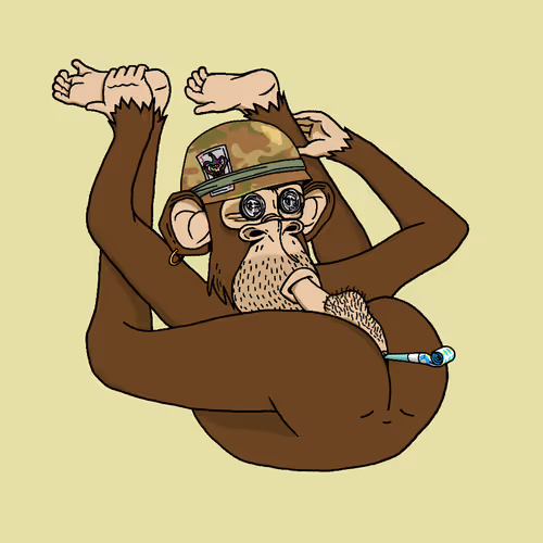 Boredapeyogaclub