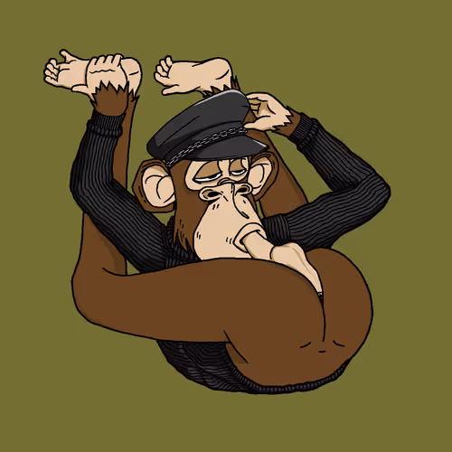 Boredapeyogaclub