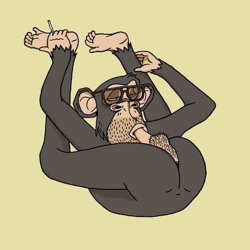 Boredapeyogaclub