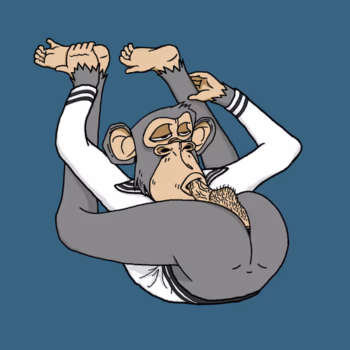 Boredapeyogaclub