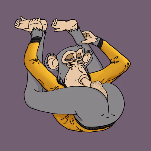 Boredapeyogaclub