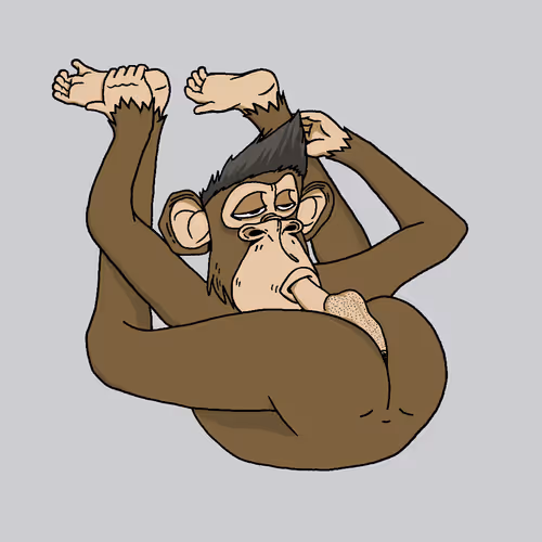 Boredapeyogaclub