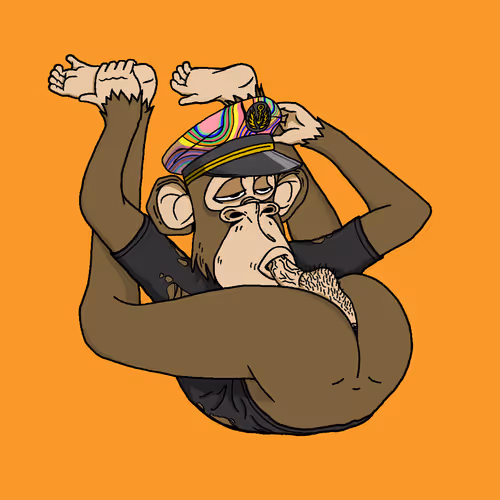 Boredapeyogaclub