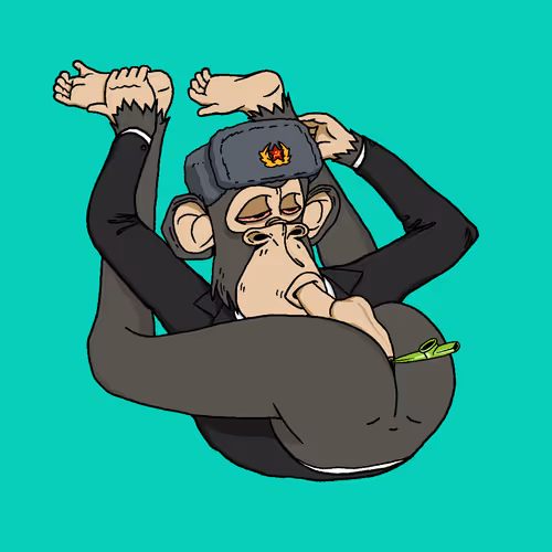 Boredapeyogaclub