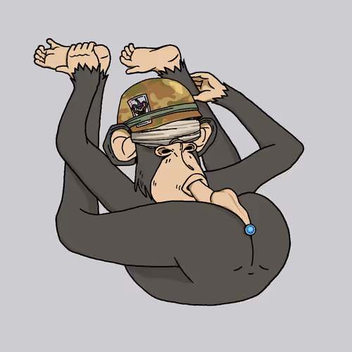 Boredapeyogaclub